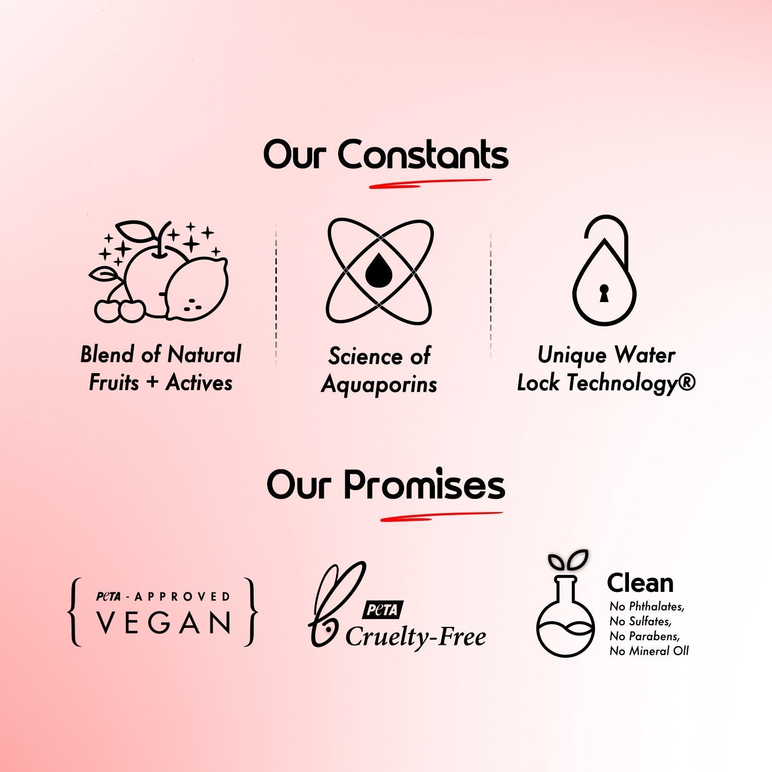 Our constants promises vegan cruelty free clean